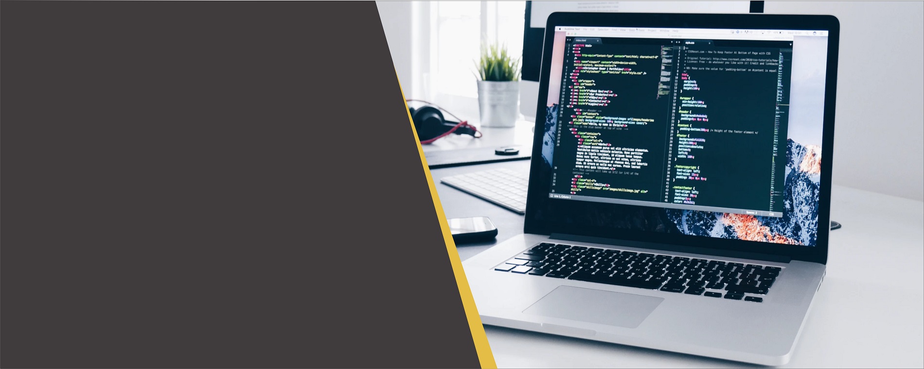 Web Development banner